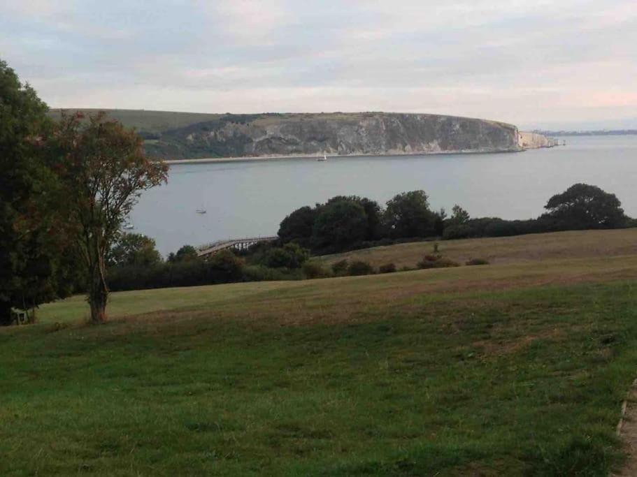 Brook Lodge Garden Flat Swanage Bagian luar foto