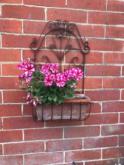 Brook Lodge Garden Flat Swanage Bagian luar foto